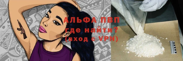 крисы Аркадак